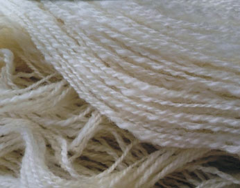 Massachusetts Sheep & Woolcraft Fair Photo Winner