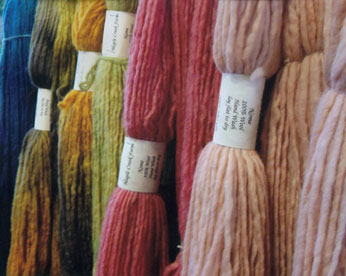 Massachusetts Sheep & Woolcraft Fair Photo Winner