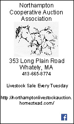 Northampton Cooperative Auction Association