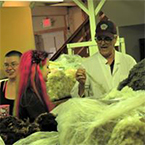 Sheep Show