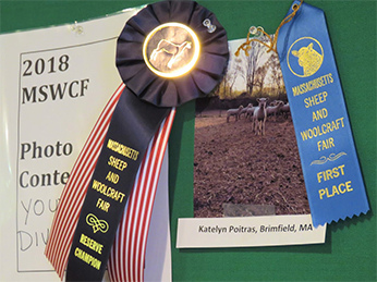 Photo Contest