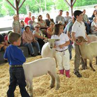 2018 Mass Sheep & Woolcraft Fair