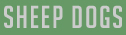 Sheep Dogs